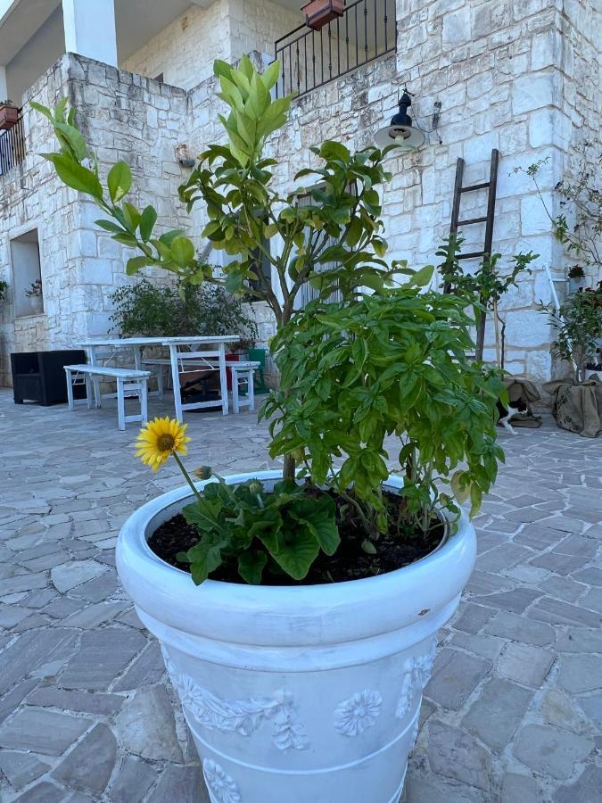 Guest House B&B Pietra Bianca Ostuni Buitenkant foto