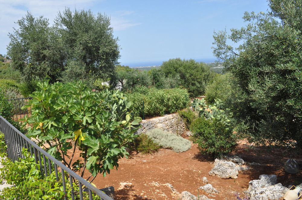Guest House B&B Pietra Bianca Ostuni Buitenkant foto