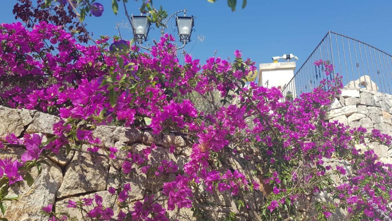 Guest House B&B Pietra Bianca Ostuni Buitenkant foto